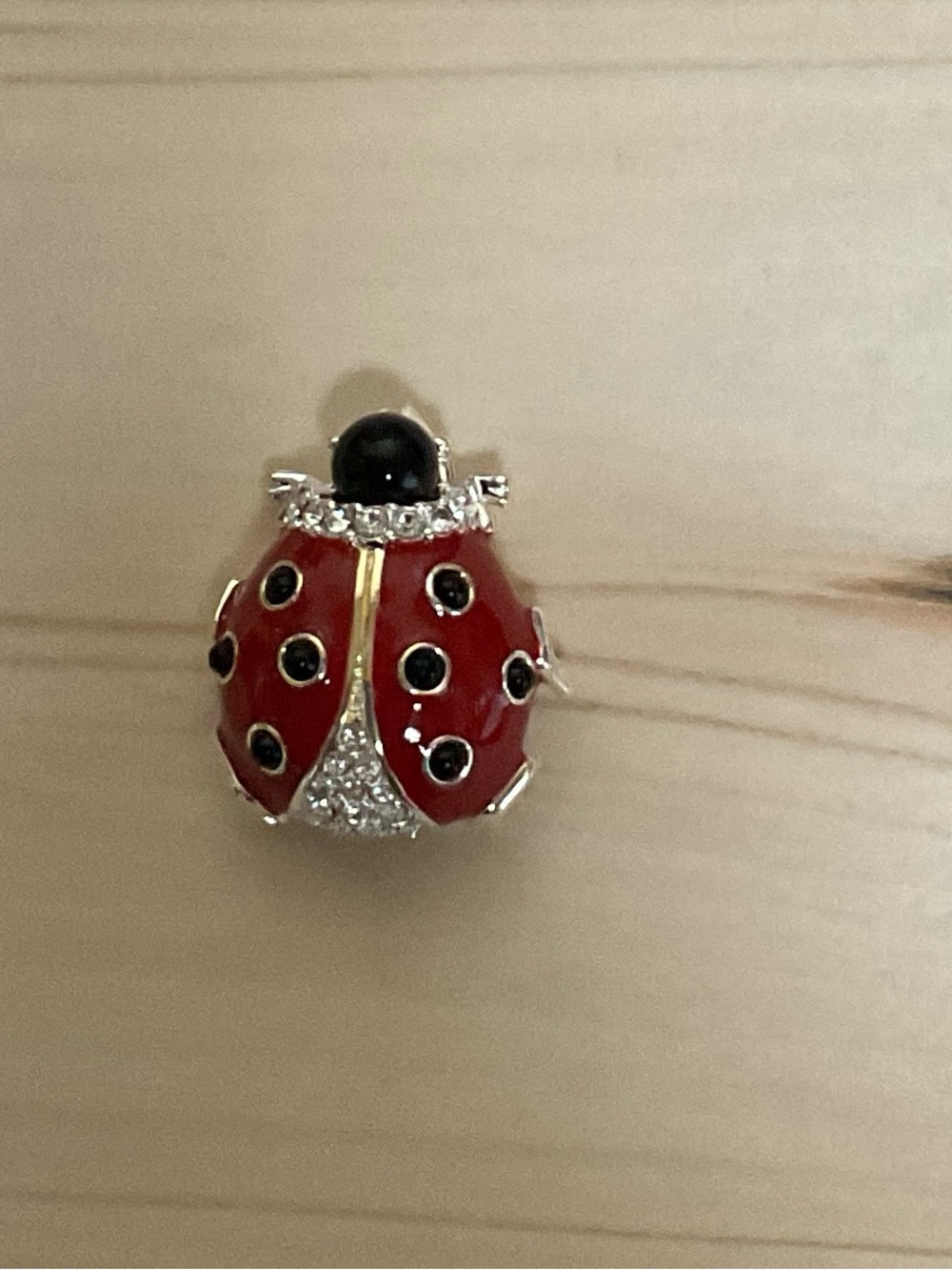 Silver-Tone Lady Bug Brooch